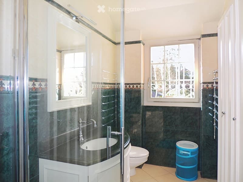 Bathroom with dark green marble tiles, a glass-enclosed shower stall, a white sink with a chrome faucet, a toilet, and a blue trash bin. The room features two windows with decorative grilles and a light fixture above the sink.