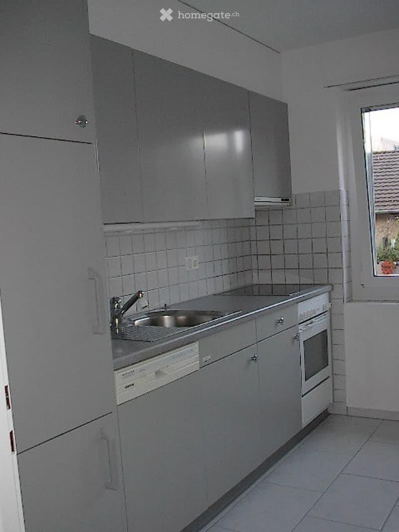 Modern kitchen with grey cabinets, tiled backsplash, and stainless steel sink and dishwasher.