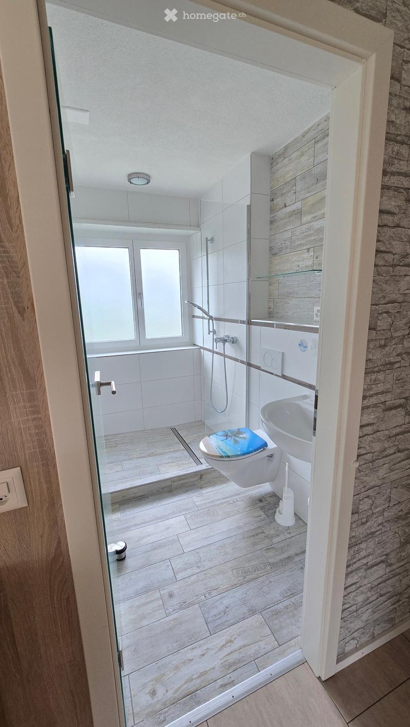 Modern bathroom with white tiles, wooden flooring, glass shower enclosure, toilet, sink, and a decorative toilet seat cover.