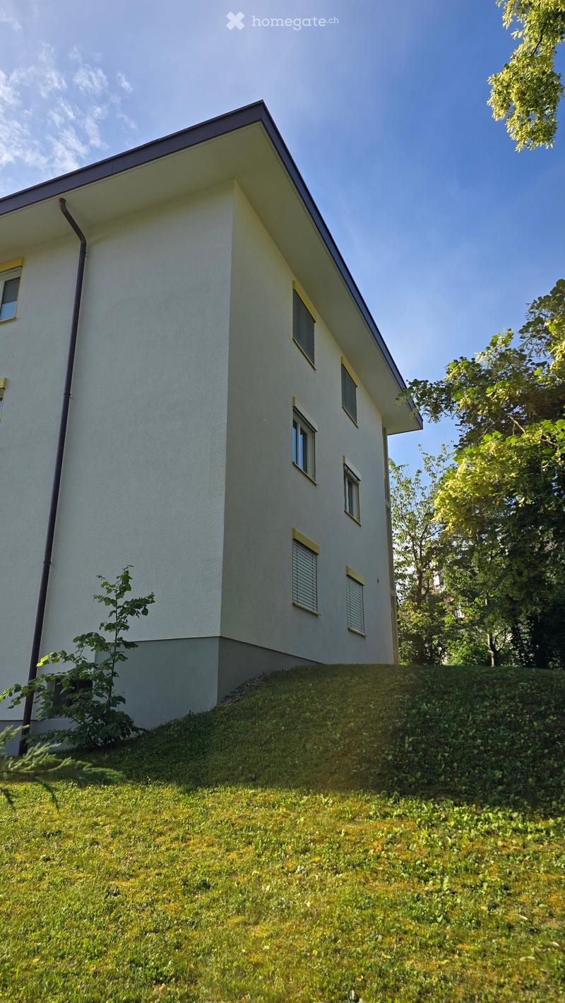Modern two-story house with white exterior, yellow window frames, and a raised ground floor surrounded by a grassy slope and trees.