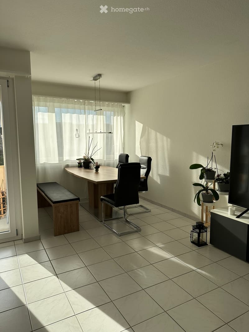Bright dining area with a wooden table, black chairs, a bench, and a television on a stand. Natural light streams in from a window with white curtains, and decorative plants and a lantern are placed around the room.