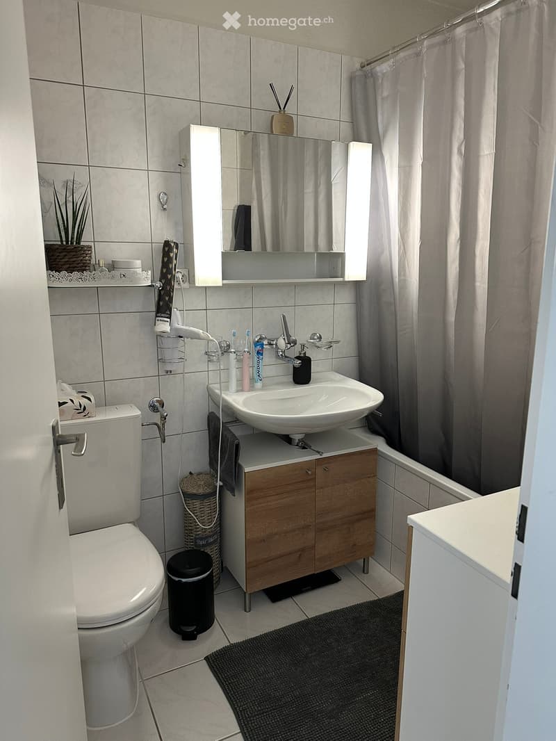 Modern bathroom with a white sink, wooden cabinet, mirror, toilet, and shower area with a curtain. Includes a wicker basket, plant, and various toiletries.