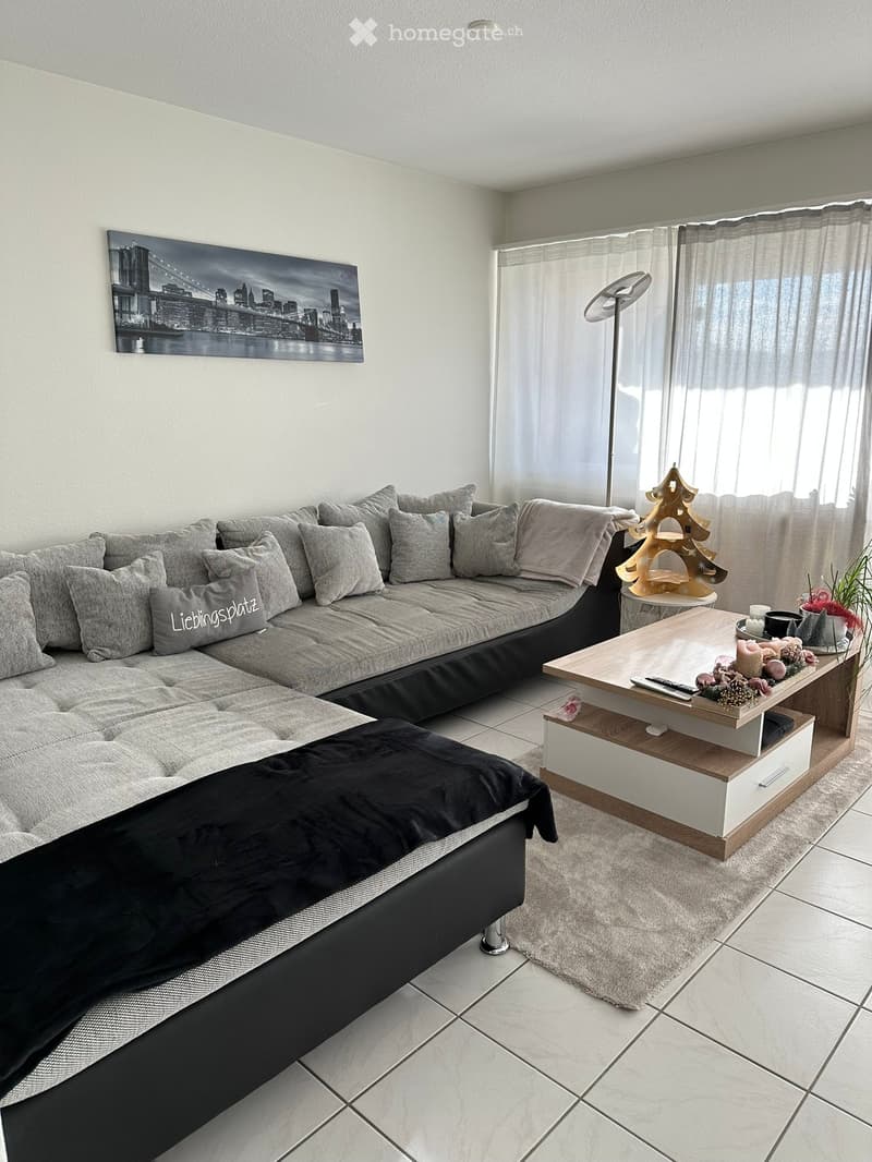 Modern living room with a large sectional sofa, coffee table, floor lamp, and decorative items including a plant and a picture frame on the wall.