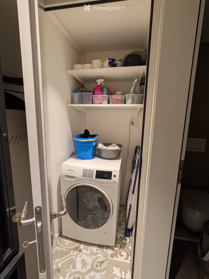 A compact bathroom with a white Siemens washing machine, shelves holding cleaning supplies, and a toilet visible in the background.