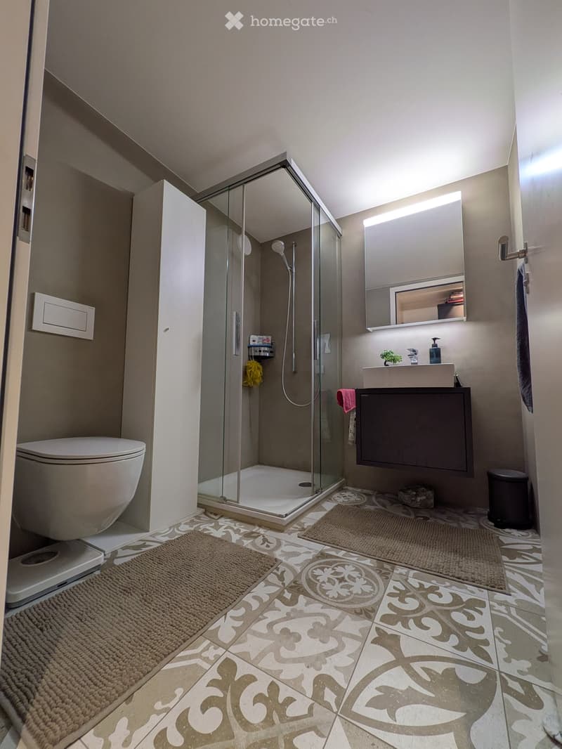 Modern bathroom with a glass-enclosed shower, toilet, sink with a mirror, and decorative tiles on the floor.