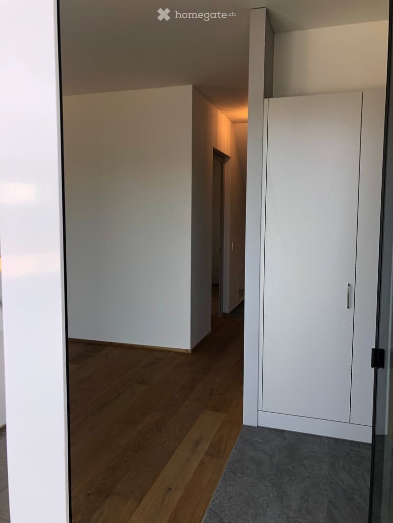 Modern hallway with wooden flooring, white walls, and built-in white cabinetry on the right side.