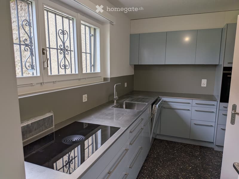 Modern kitchen with grey cabinets, stainless steel sink, and black countertop. Features large windows with decorative metal bars.