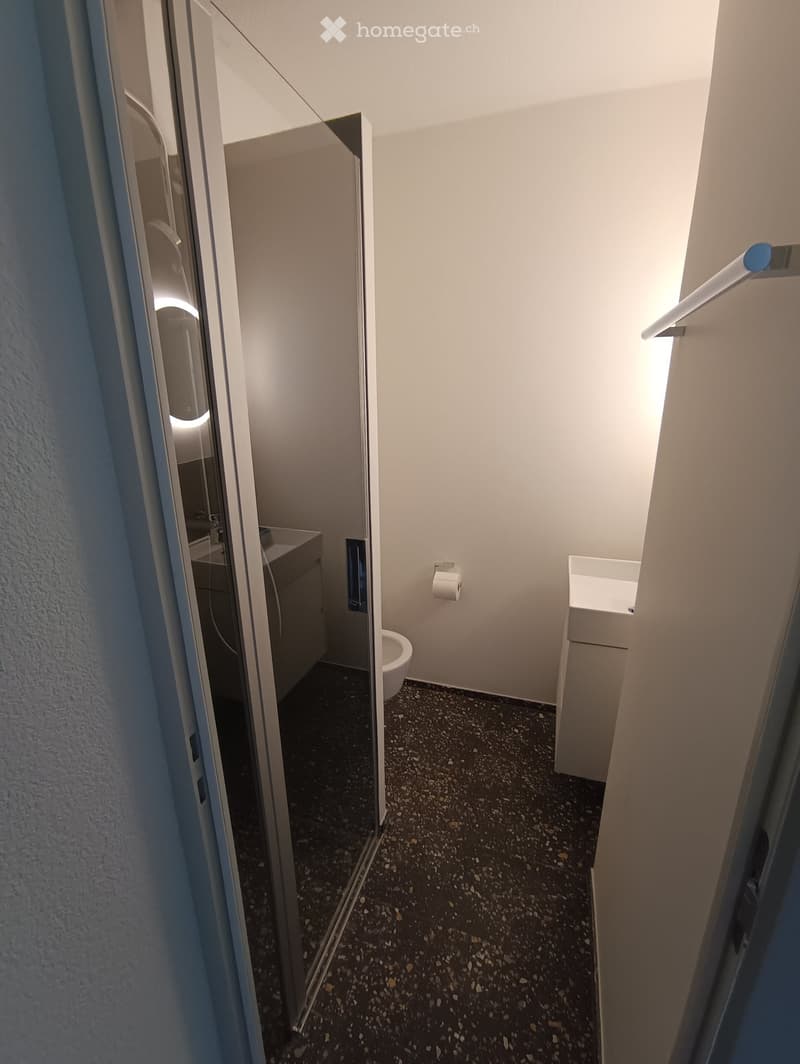 Modern bathroom with a toilet, sink, mirror, and cabinet. Features a glass shower enclosure and a dark speckled floor.
