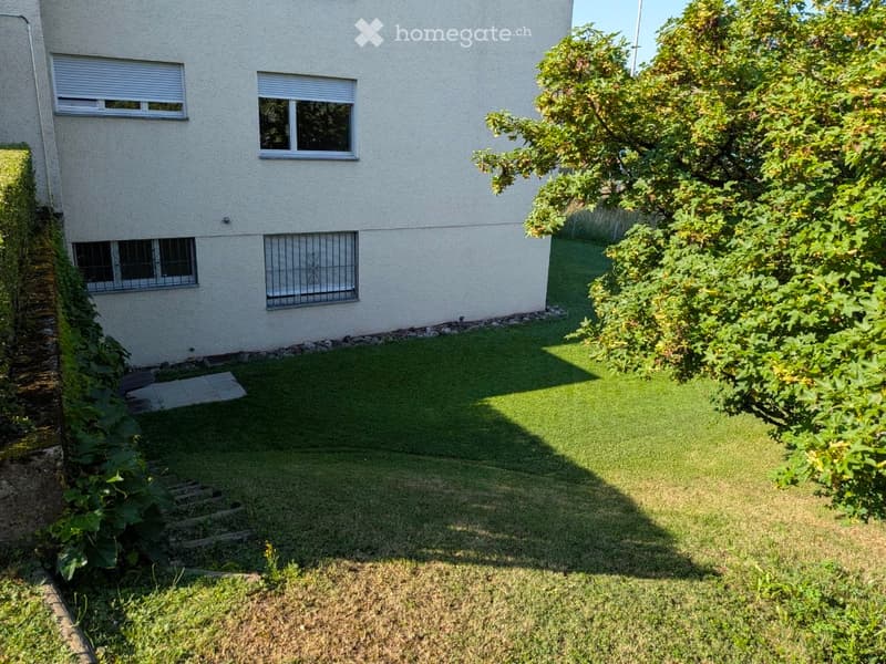 A well-maintained garden area with a neatly trimmed lawn, a small tree, and a modern building with windows and shutters in the background.