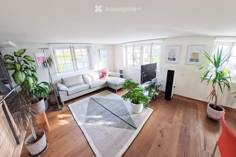 Bright living room with large windows, light grey sectional sofa, coffee table, floor lamp, TV stand, and several potted plants.