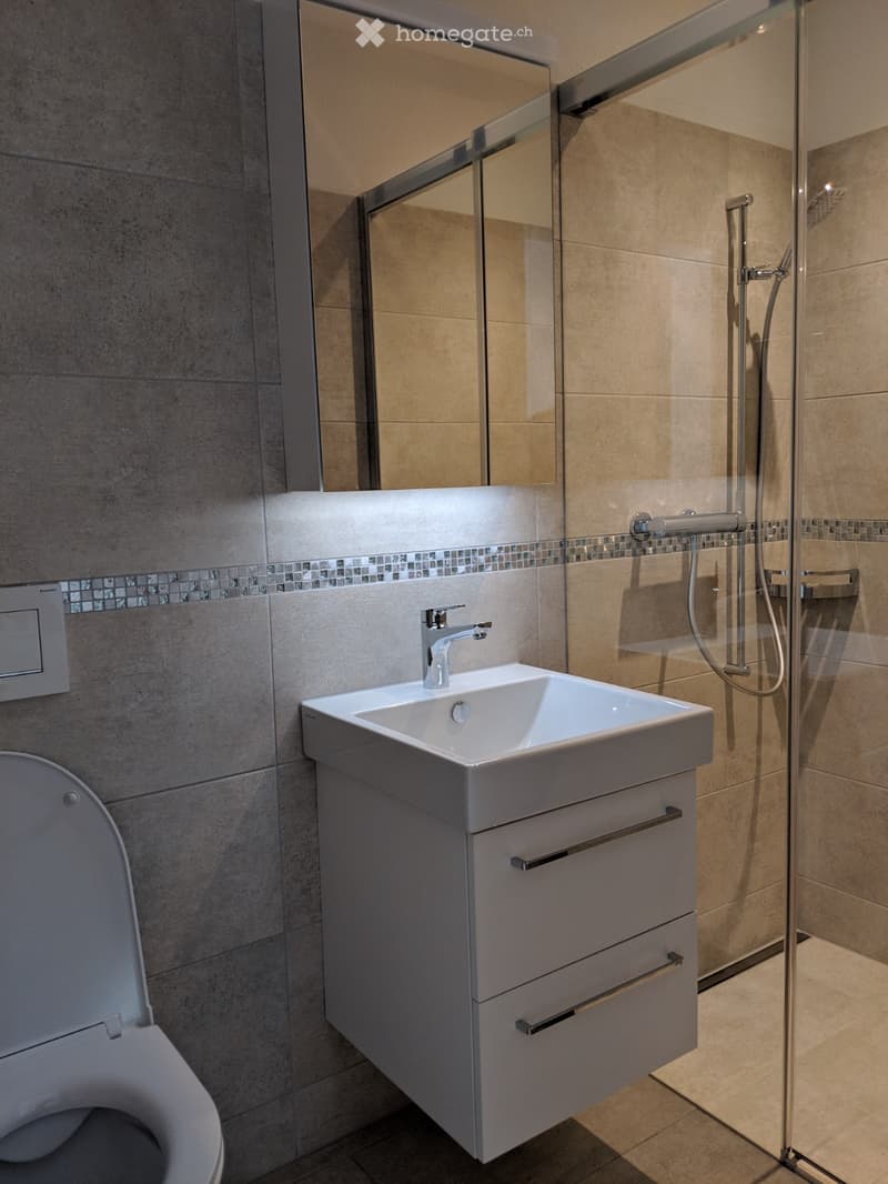 Modern bathroom with a white sink, chrome faucet, mirrored cabinet, toilet, and glass-enclosed shower with handheld showerhead.