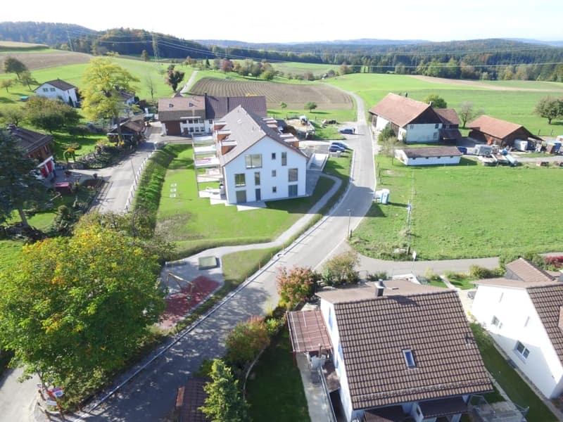 Aerial view of a rural residential area with multiple houses, green fields, and a road running through the landscape.
