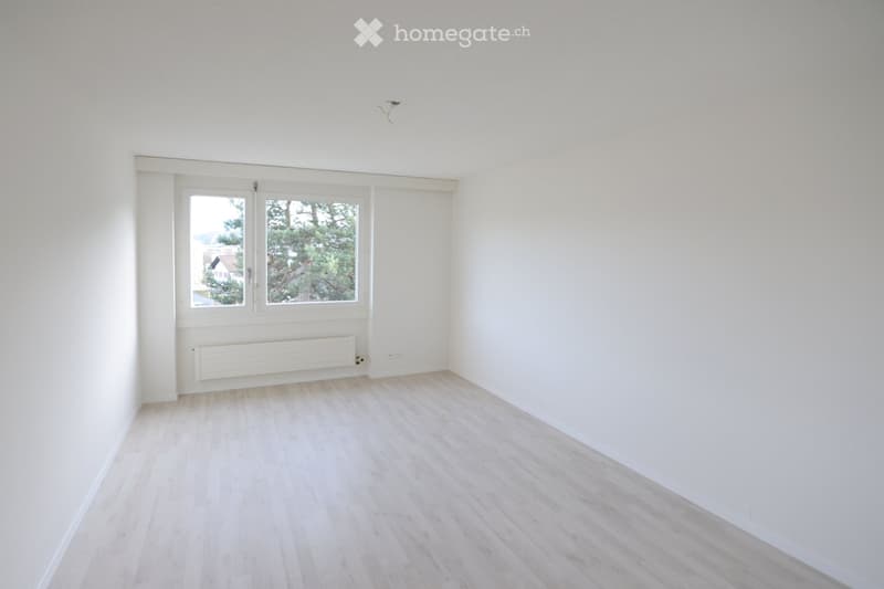 Empty room with white walls, light wooden flooring, and a large window with a view of trees and a building outside. A white radiator is visible below the window.