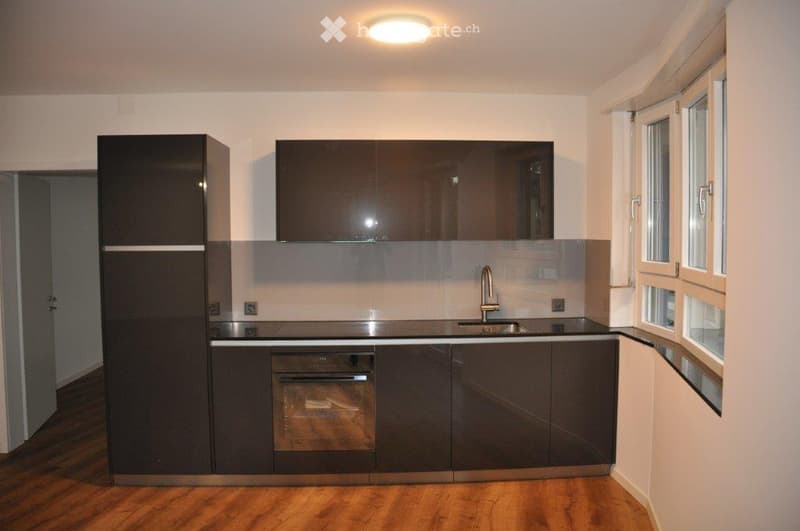 Modern kitchen with dark cabinets, stainless steel sink, and built-in oven. Features wooden flooring and large windows.