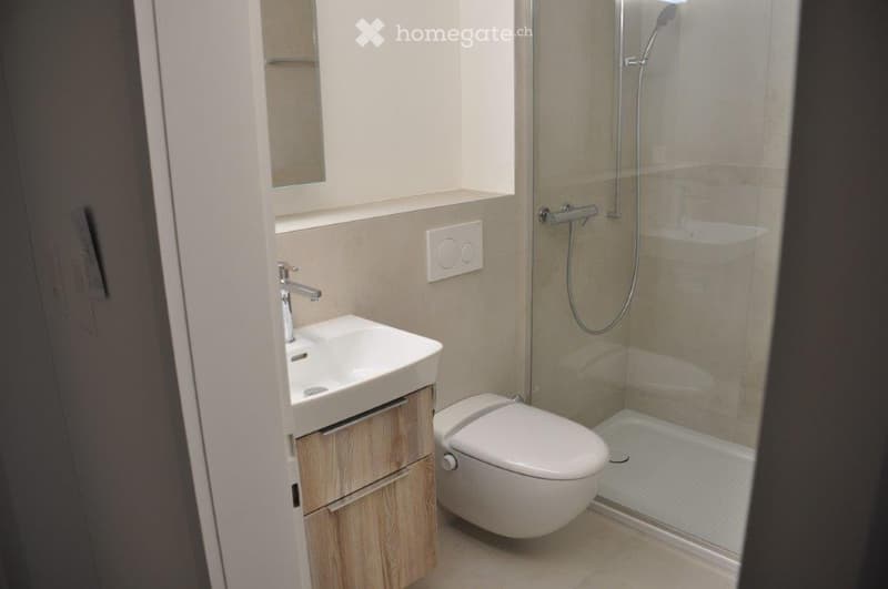 Modern bathroom with a white sink, toilet, and glass-enclosed shower. Features a wooden cabinet under the sink and a mirror above it.