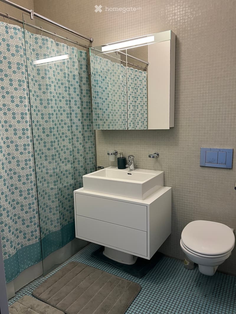 Modern bathroom with a white sink, toilet, mirror, and shower curtain with a blue and grey circular pattern. The sink has a sleek faucet and is placed on a white cabinet. A brown bathroom mat is on the floor.