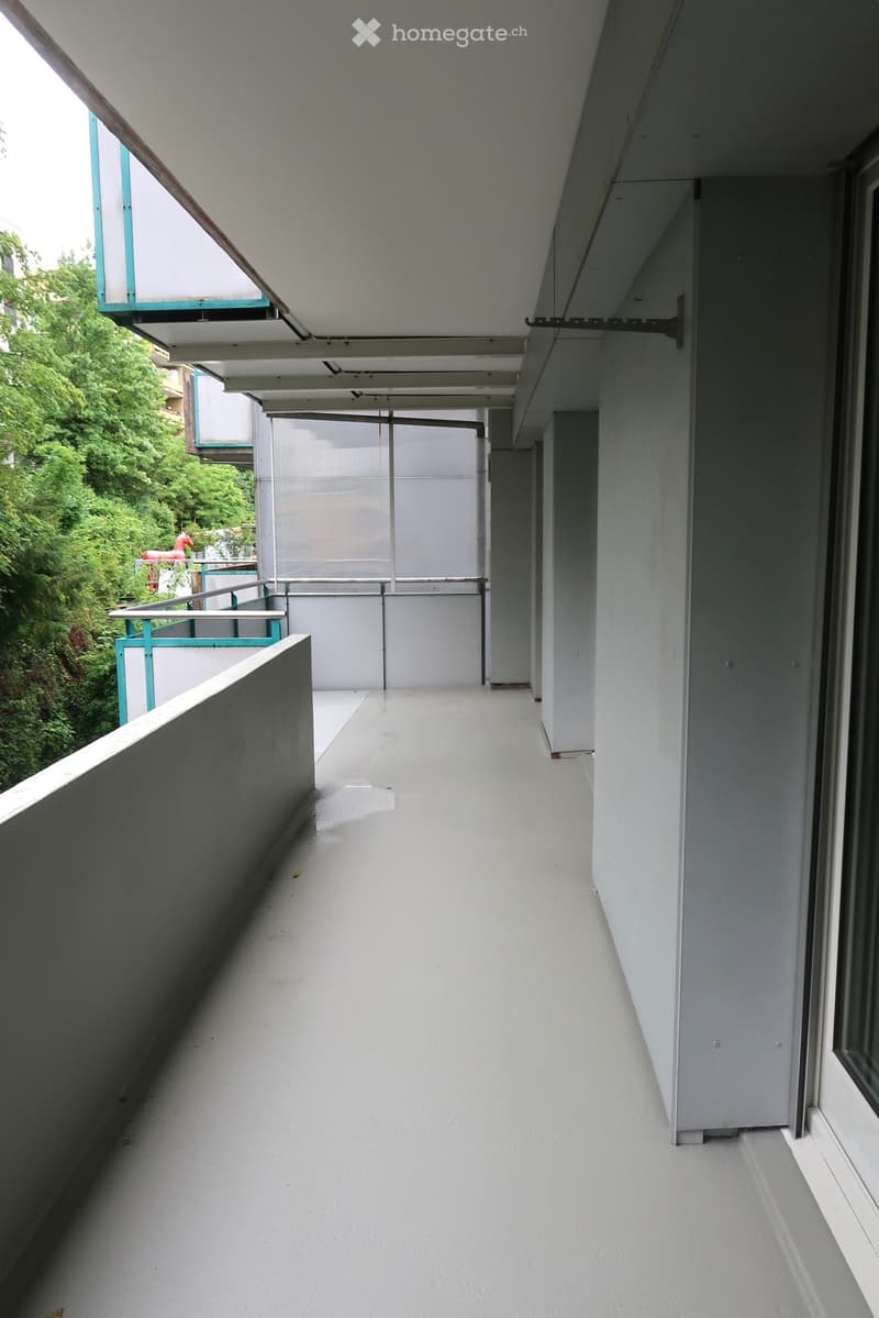 Empty balcony with white walls, grey floor, metal railings, and a view of greenery.