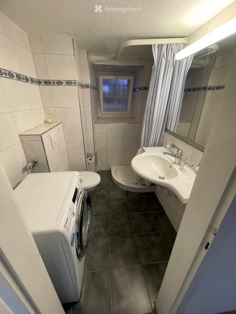 Modern bathroom with a sink, toilet, washing machine, and a small shower area with a window. The space features white tiles, a dark tiled floor, and a mirror above the sink.