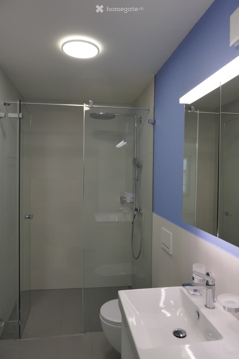Modern bathroom with a white sink, chrome faucet, toilet, glass-enclosed shower, and a large mirror with built-in lighting.