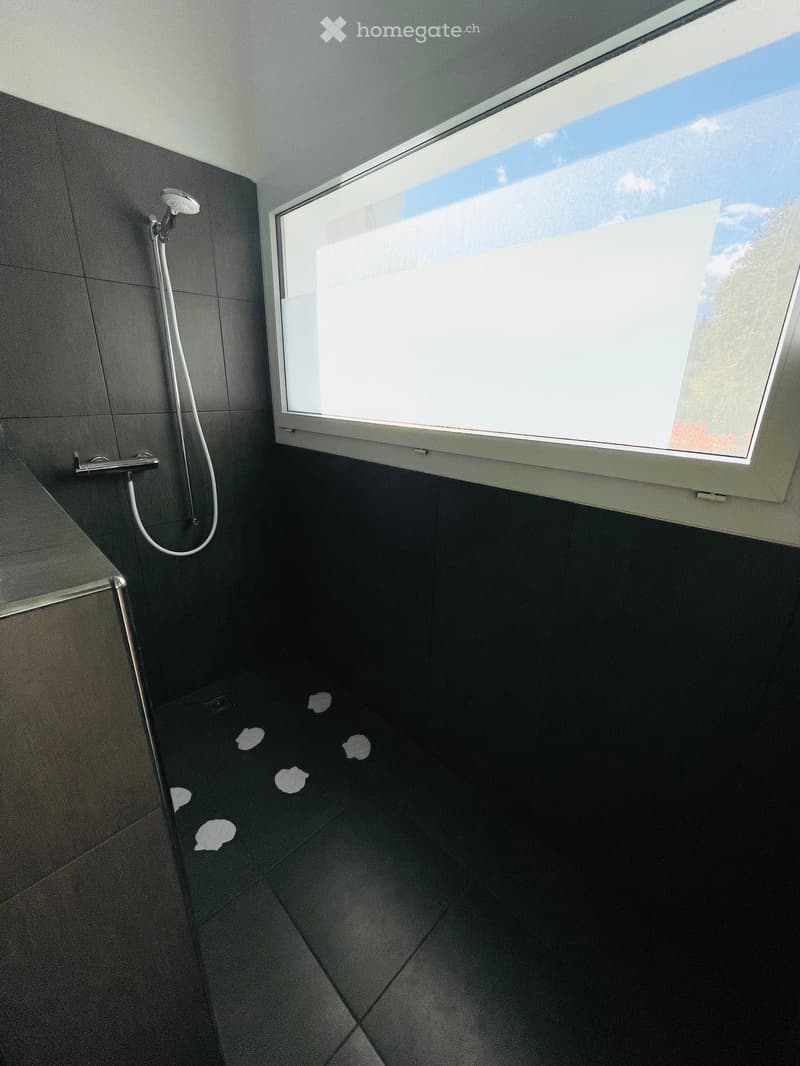 Modern bathroom with dark tiled walls and floor, a large skylight window, and a shower area with a handheld showerhead and control valve.