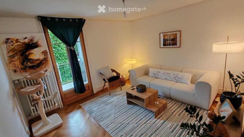 Bright living room with a grey sofa, wooden coffee table, cat tree, wicker chair, and large window with dark curtains.