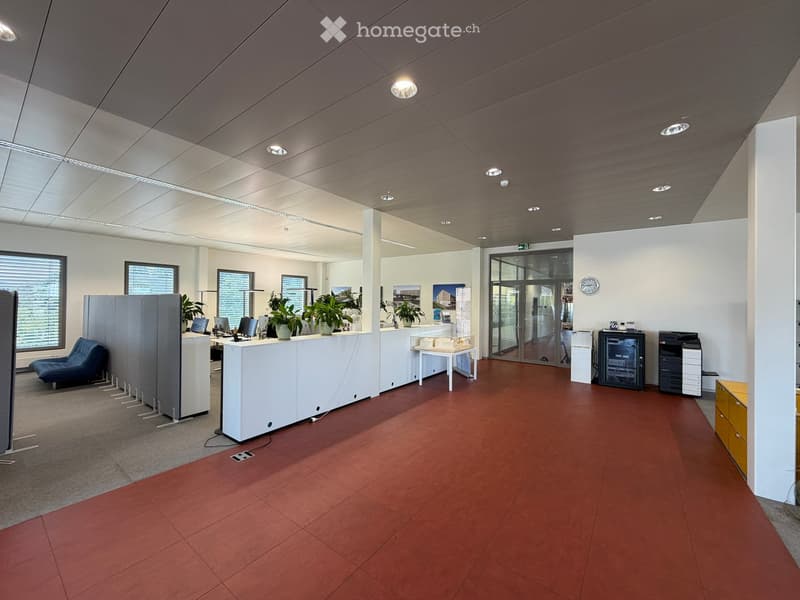 Modern office space with reception desk, seating area, plants, and office equipment.