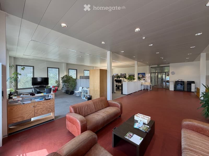 Modern office lounge area with red carpeting, a brown leather sofa, coffee table, chairs, and a TV screen. There are plants, a cabinet, and a printer visible.