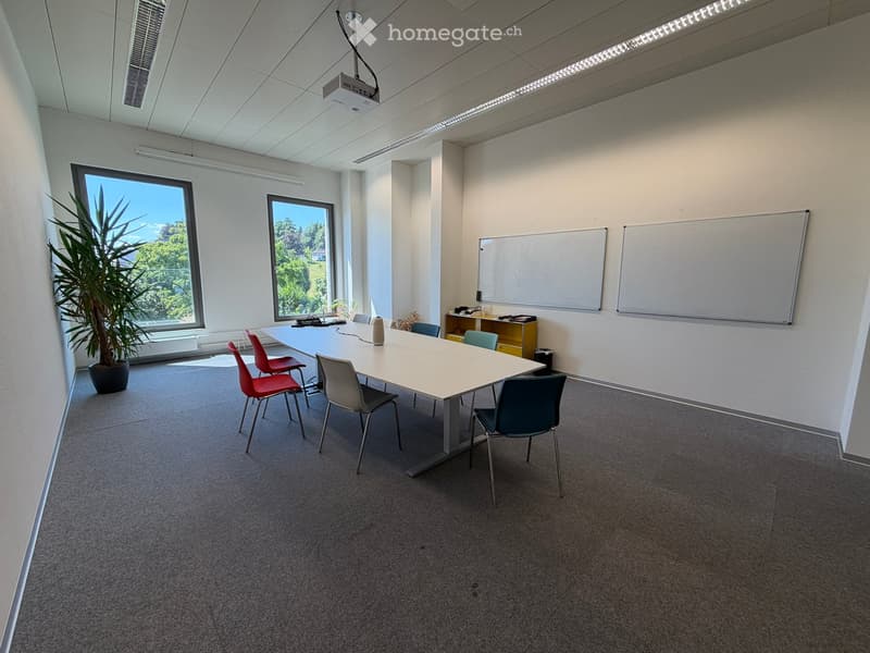 Bright conference room with a long white table, chairs, a projector screen, whiteboards, and a potted plant near the window.