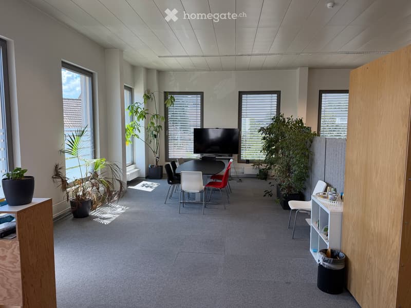 Bright, modern office space with large windows, a round table surrounded by chairs, a screen, several potted plants, and a small cabinet with cups and other items.