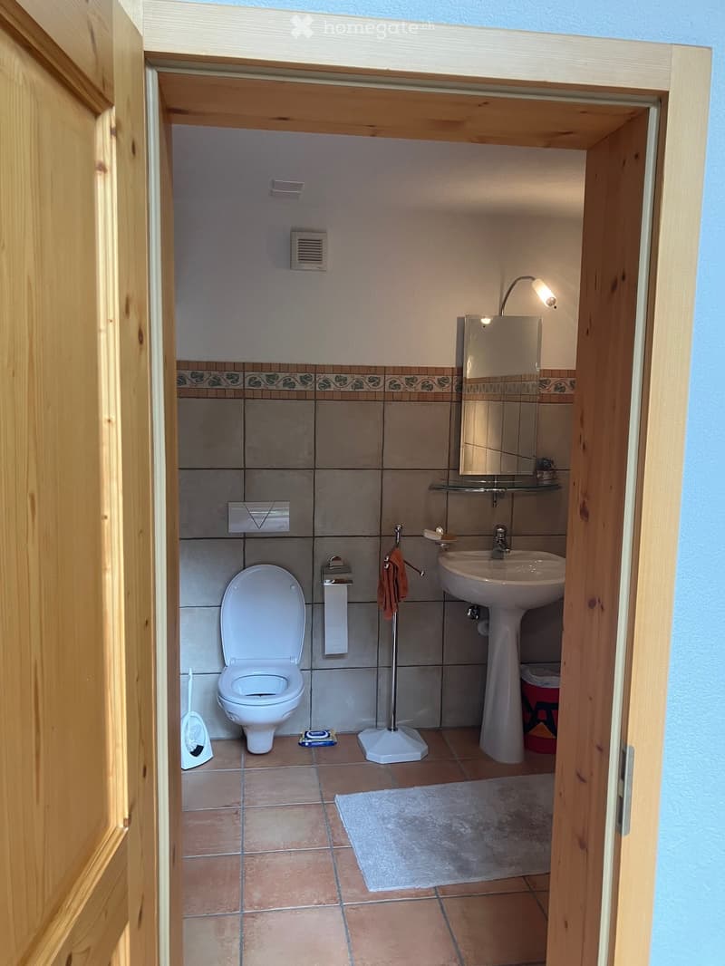 A small, well-lit bathroom with a toilet, sink, mirror, and a towel hanging on a rack. The walls are tiled with a decorative border, and a small rug is placed on the floor.