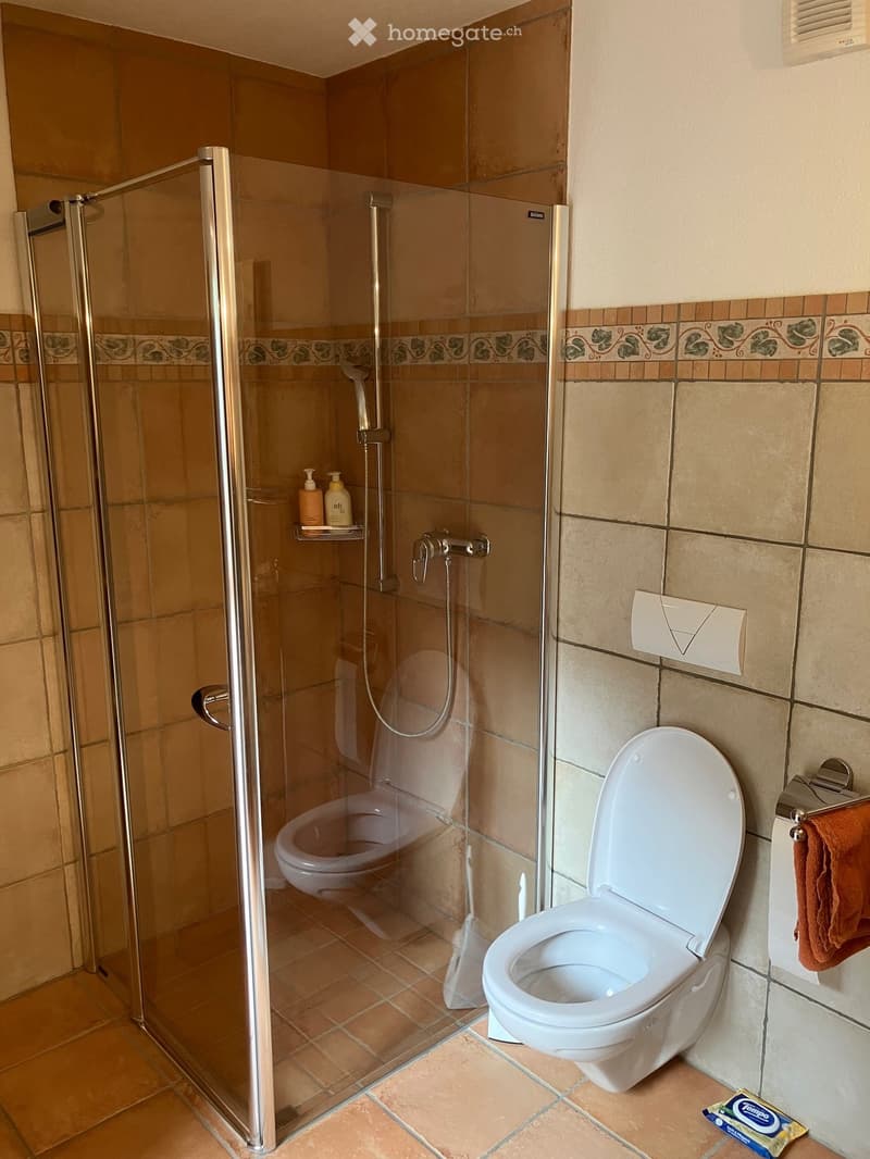 Modern bathroom with a glass-enclosed shower, toilet, and tiled walls. Includes a shower shelf with toiletries and a towel hanging on a rack.