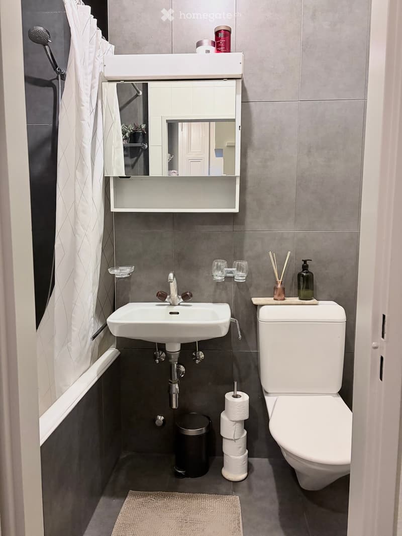 Modern bathroom with a white sink, toilet, mirror, and various toiletries. Features a shower curtain, a small trash bin, and a bathroom rug.