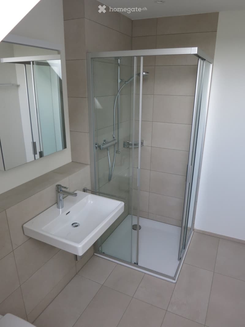 Modern bathroom with a white sink, chrome faucet, large mirror, and a glass-enclosed shower stall.