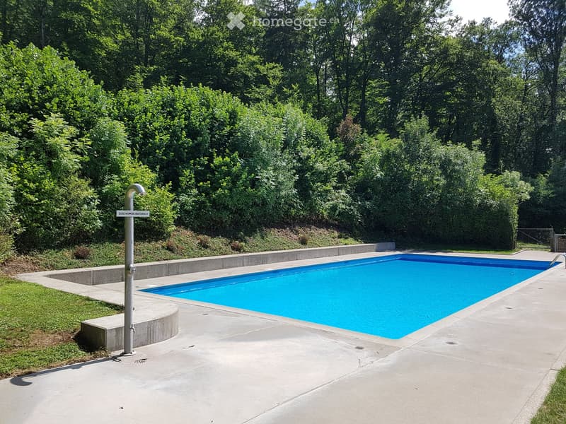 Rectangular swimming pool with clear blue water, surrounded by concrete decking and lush greenery.