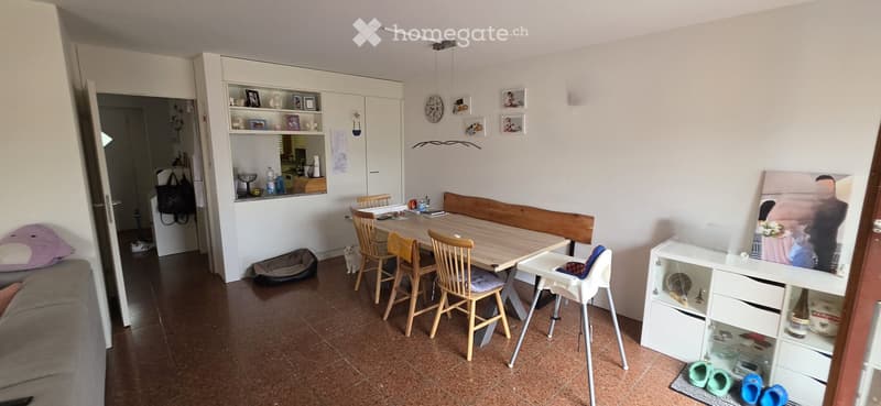 A cozy living and dining area with a wooden dining table, chairs, a sofa, a cat, and various storage units.