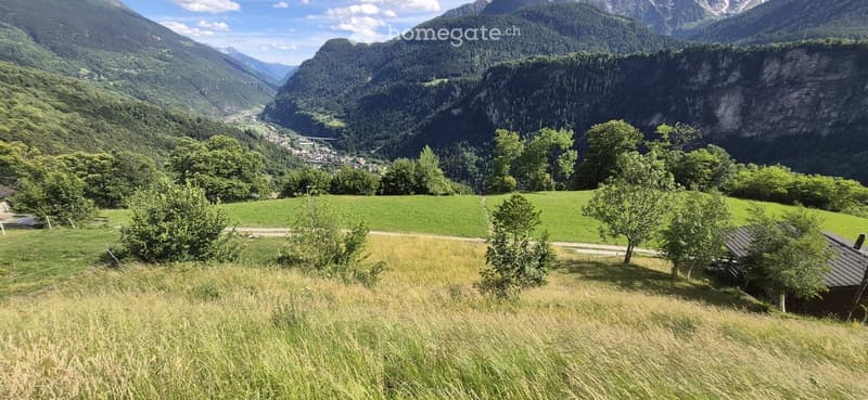 Panoramic view of a lush green valley with scattered trees, a small village nestled in the distance, and towering mountains under a clear blue sky.