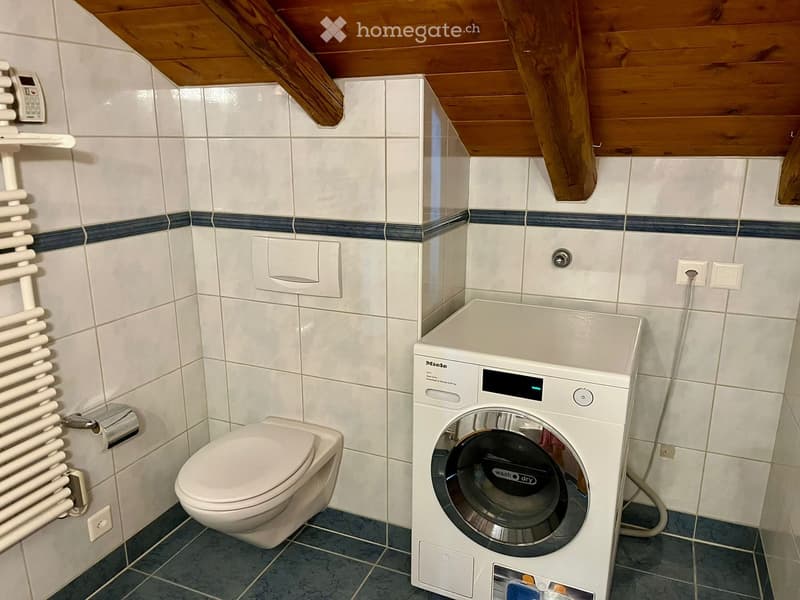 Bathroom with a toilet, washing machine, radiator, and toilet paper holder. The walls are tiled with white tiles and a dark blue border. The ceiling is wooden.