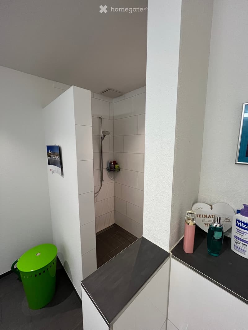 Modern bathroom with a walk-in shower, tiled walls, a black countertop, and toiletries including a pink bottle, a blue bottle, and a white container. A green trash bin is visible near the entrance.