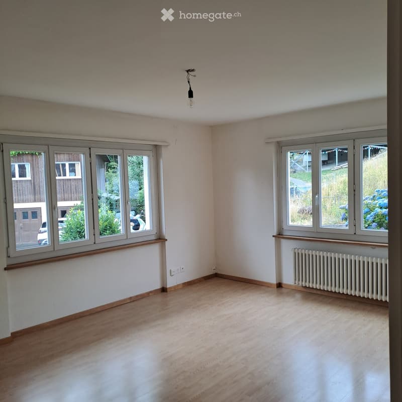 Empty room with wooden flooring, large windows, radiator, and a light fixture on the ceiling.