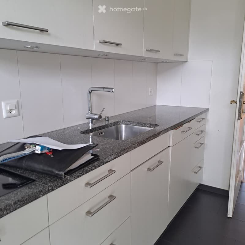 Modern kitchen with white cabinets, granite countertop, stainless steel sink, and faucet. Includes a black leather folder and some papers on the counter.
