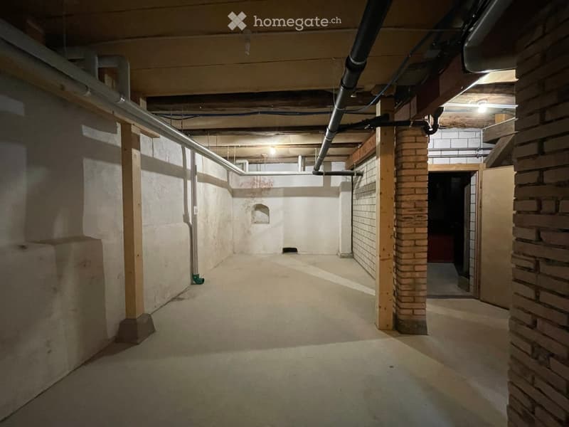 Empty basement corridor with exposed brick walls, wooden beams, and pipes. The floor is concrete, and there is a small arched opening in the wall.