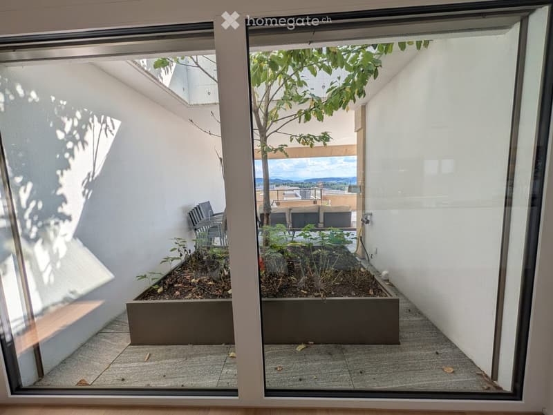 Modern outdoor space with raised planters, seating area, and a small tree, overlooking a scenic view.