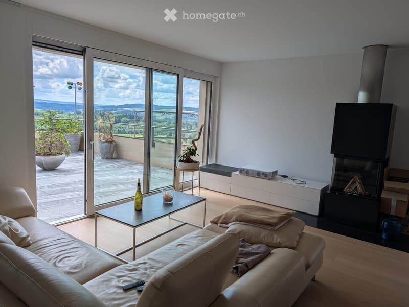 Modern living room with large windows offering a scenic view, a cream-colored sofa, a glass coffee table, a fireplace, and a small balcony with potted plants.