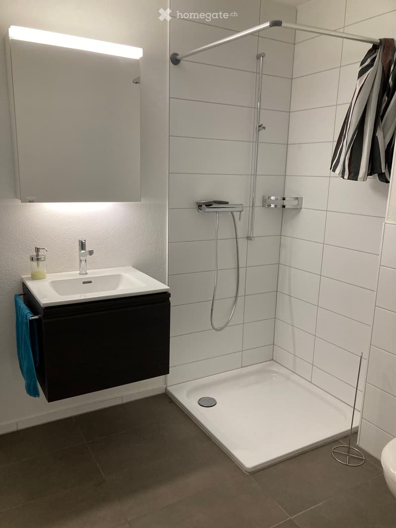 Modern bathroom with a white tiled shower area, a black vanity with a white sink, a mirror above the sink, and a towel rack with towels.