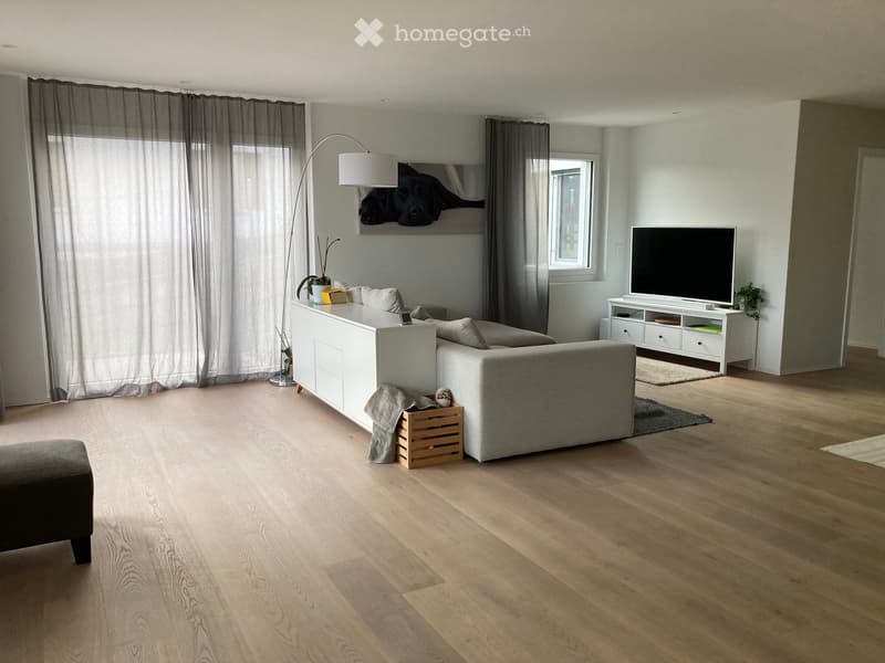 Modern living room with light wooden flooring, grey sofa, coffee table, TV stand, floor lamp, and a picture of a dog on the wall.