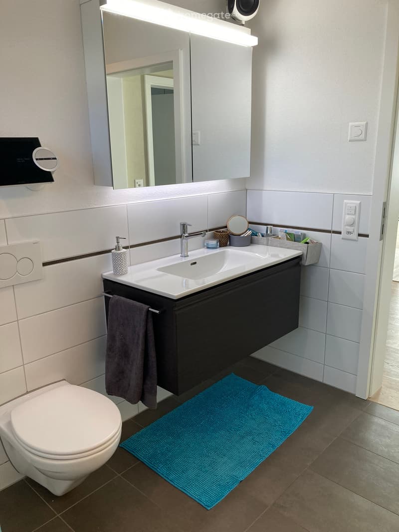 Modern bathroom with a white sink, dark wooden cabinet, large mirror, and a blue bath mat on the floor.