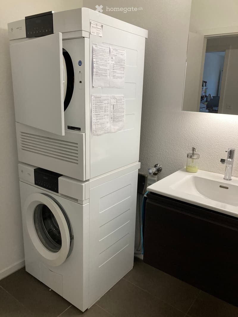 Bathroom with a stacked washing machine and dishwasher unit, a white sink with a modern faucet, and a soap dispenser on the counter.