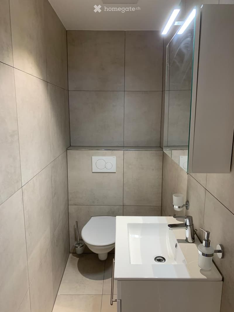 Modern bathroom with a toilet, sink, and mirror. The walls are tiled in a neutral gray color, and the floor is covered with light-colored tiles. A small cabinet is positioned under the sink, and a soap dispenser is mounted on the wall.