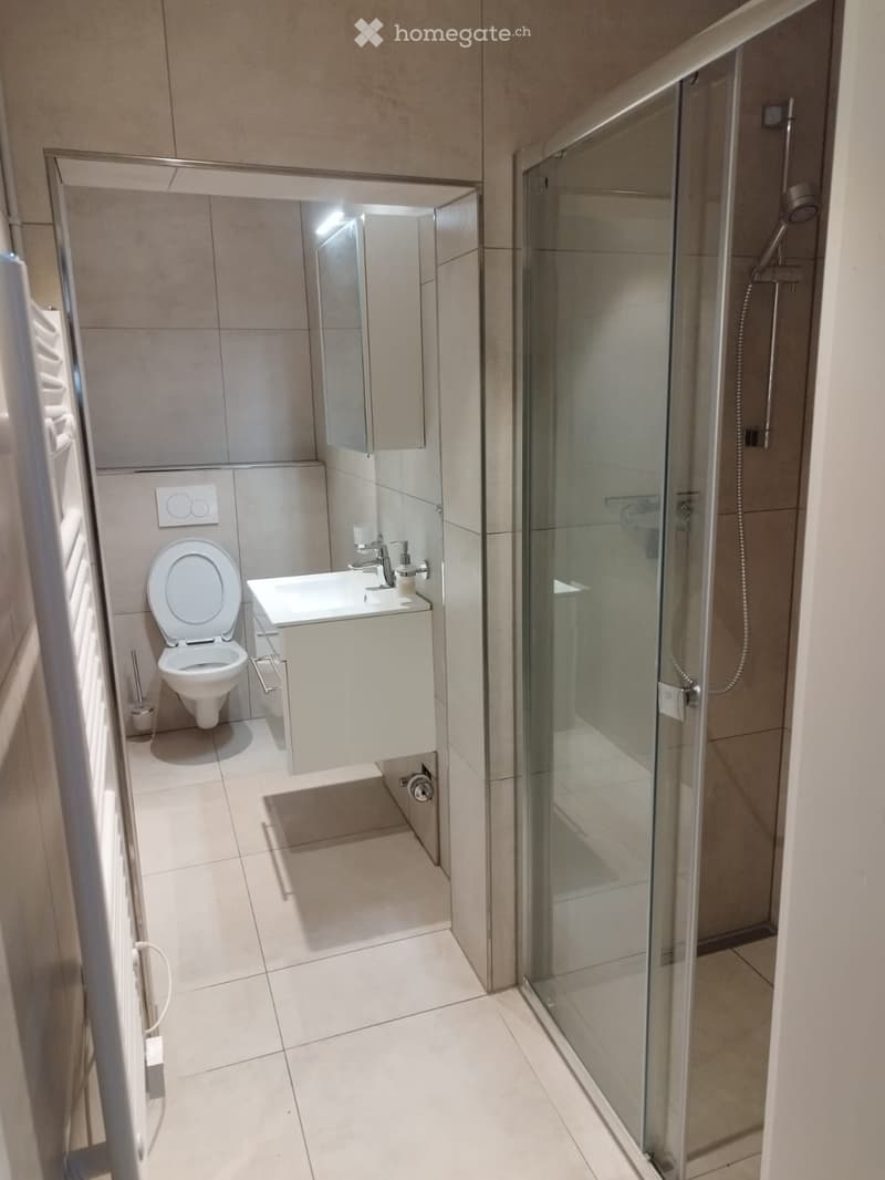 Modern bathroom with a toilet, sink, mirror, and glass-enclosed shower. Light-colored tiles and sleek fixtures.