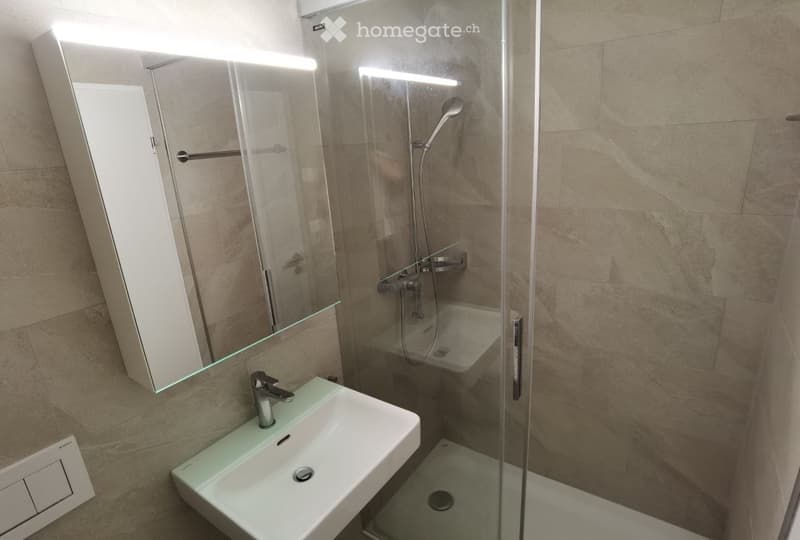 Modern bathroom with a white sink, chrome faucet, large mirror, and a glass-enclosed shower with a modern showerhead.